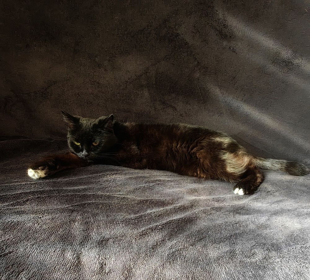 Photograph by Maiya Bulatova