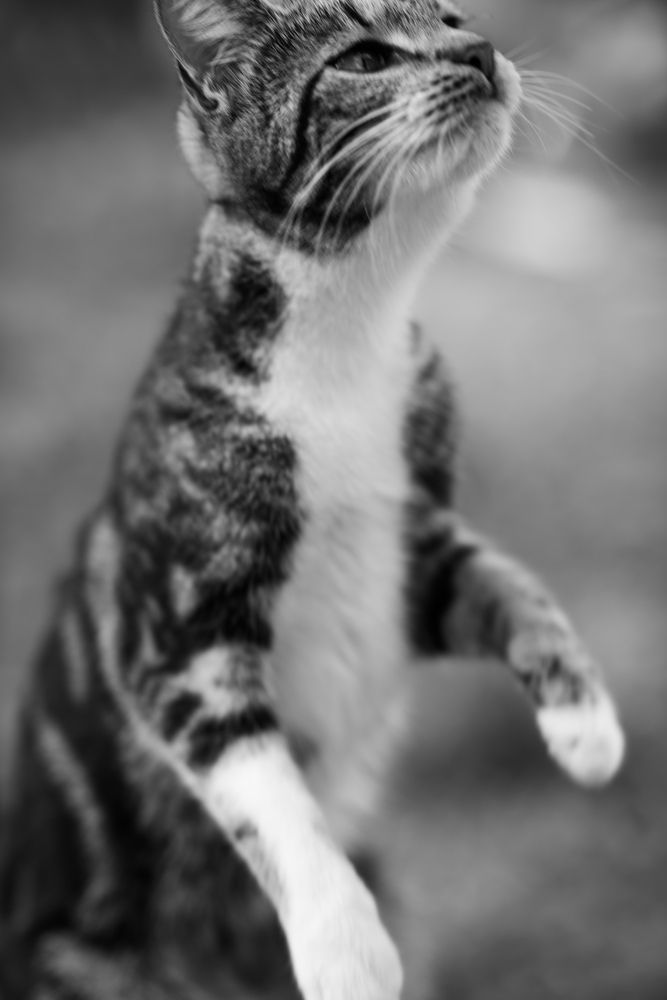 Photograph by Анна Чеснокова