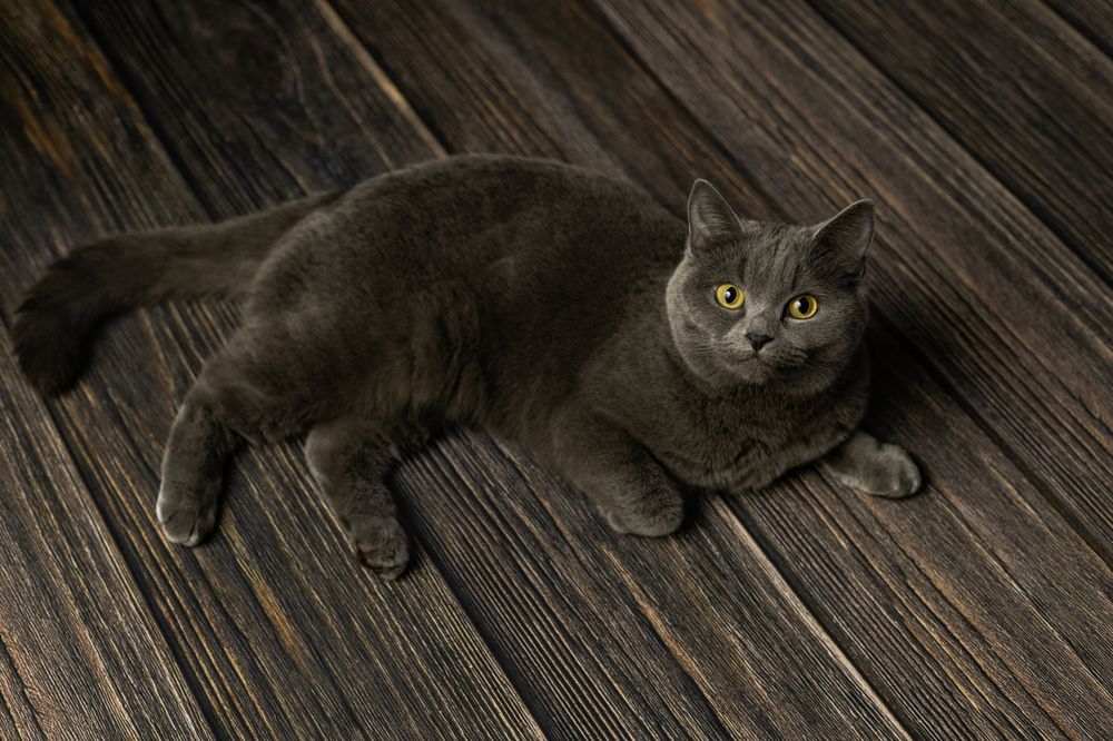 Photograph by Алина Дудорова