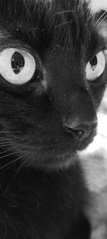 Photograph by Екатерина Александровна