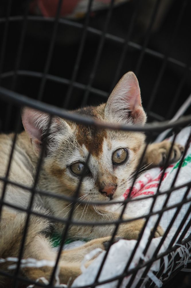 Photograph by Sadman Sakib