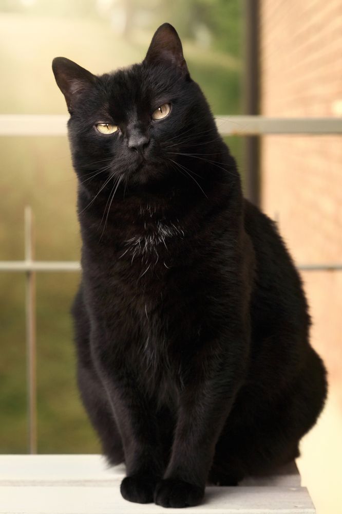 Photograph by Jorge Luis Cresti