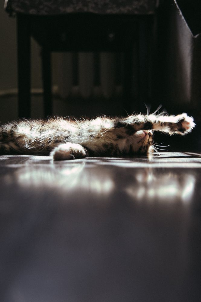 Photograph by Анастасия Лидяева