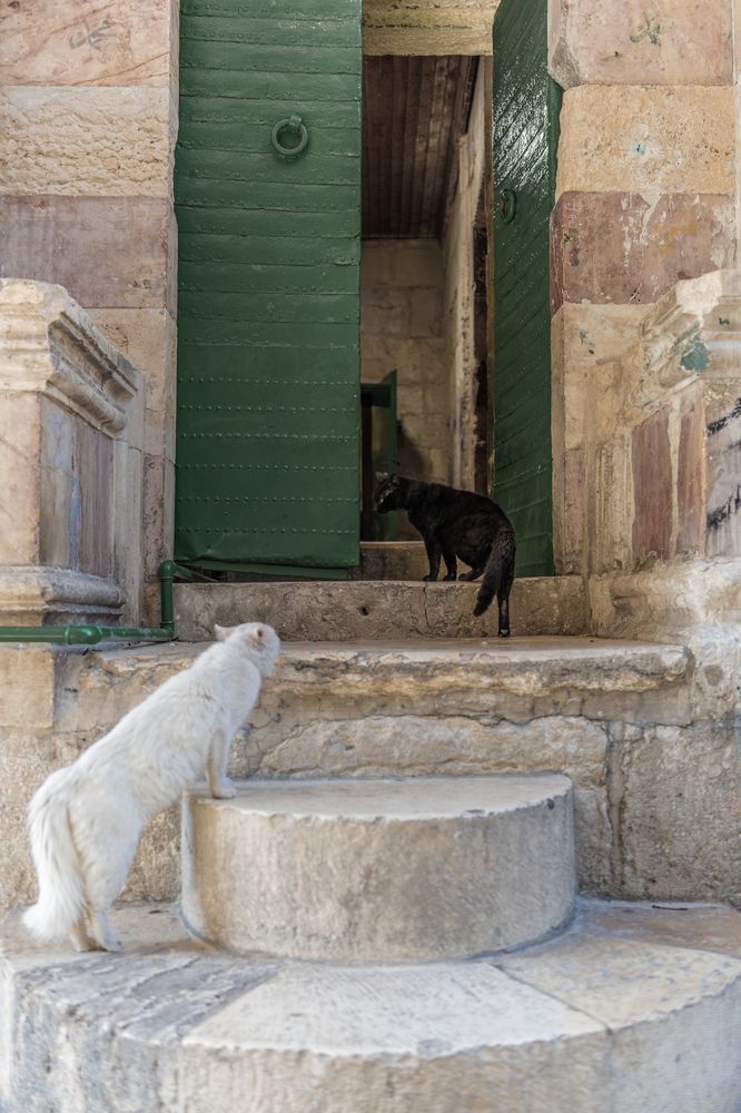 Photograph by Shulkin Igor