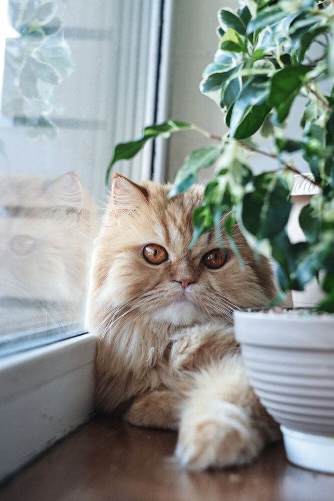 Photograph by Анна