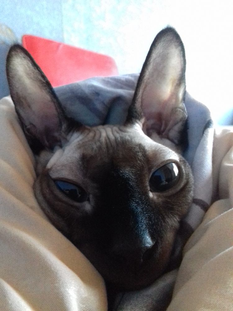 Photograph by Екатерина Познякова