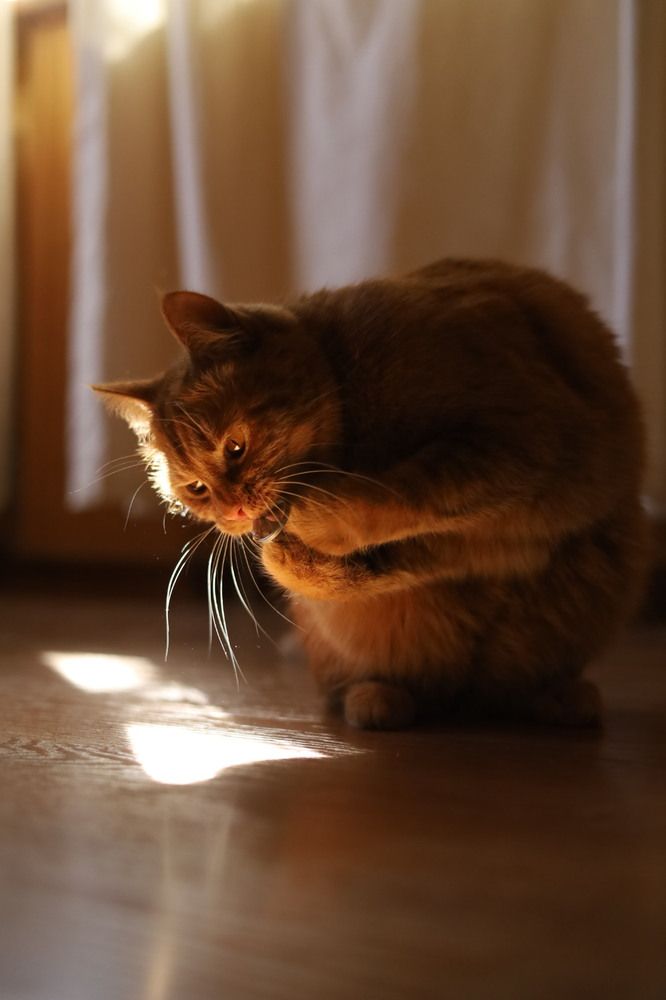 Photograph by Анна Чертополох