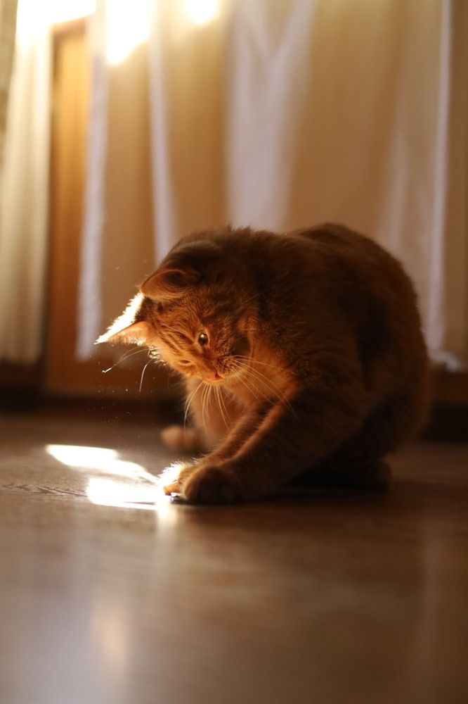 Photograph by Анна Чертополох