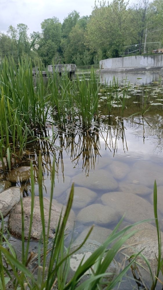 Photo #12246206