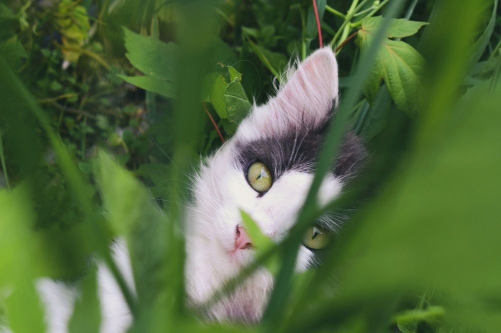 Photograph by Alyona Popova