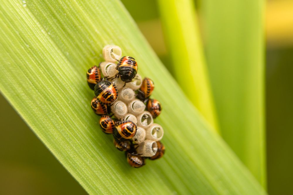 Фотография автора Андрей Ткаченко