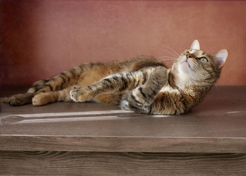 Photograph by Кира Иванова