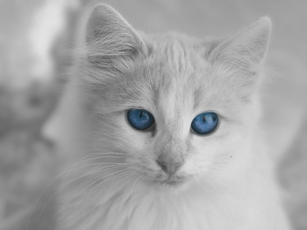 Photograph by Tahani Almarafi
