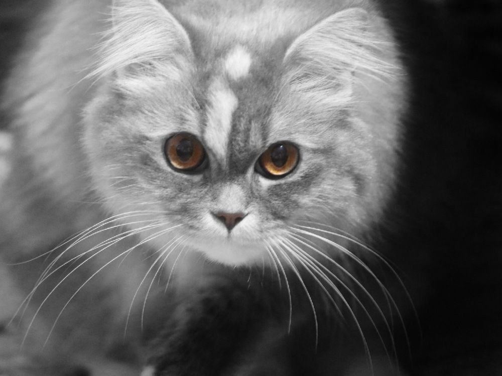 Фотография автора Tahani Almarafi