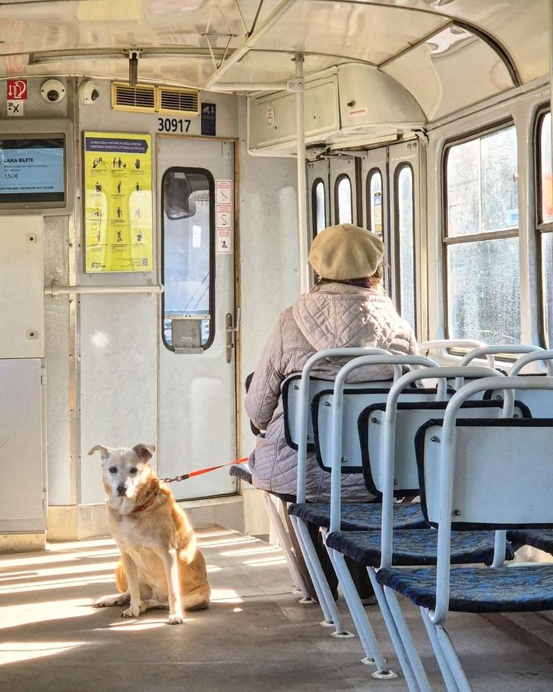 Photograph by Ирина Калюжная