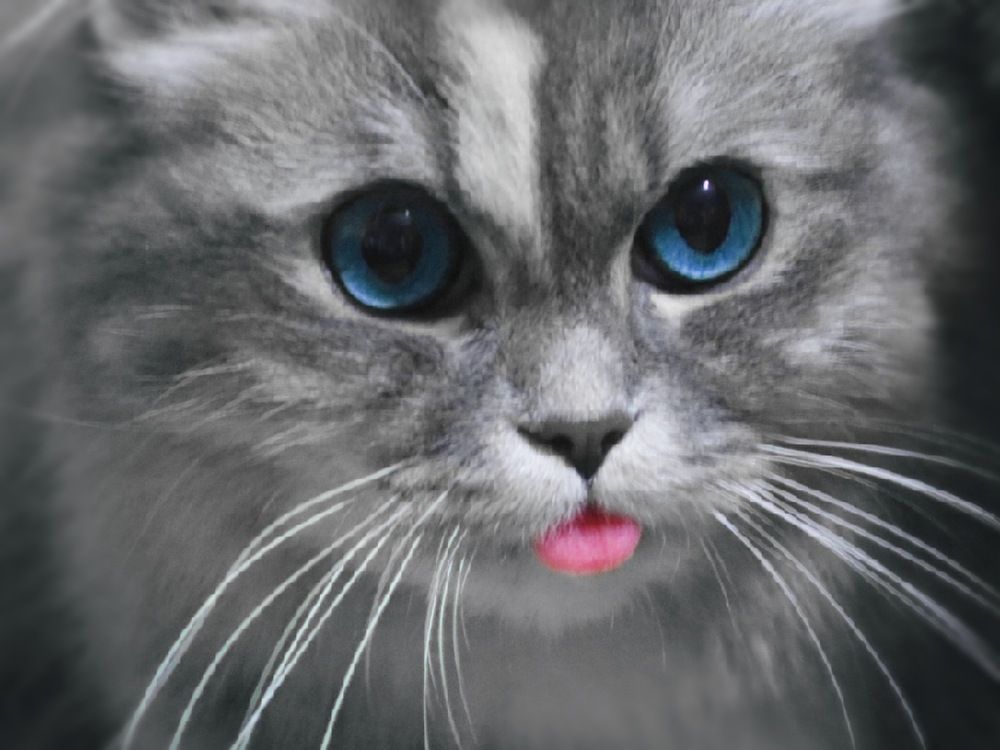 Фотография автора Tahani Almarafi