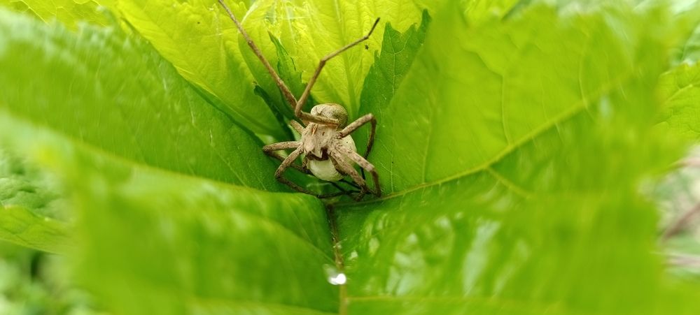 Photograph by Татьяна Стаскевич