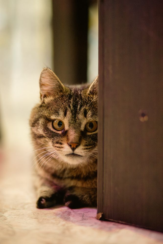 Photograph by Владимир Пилюков