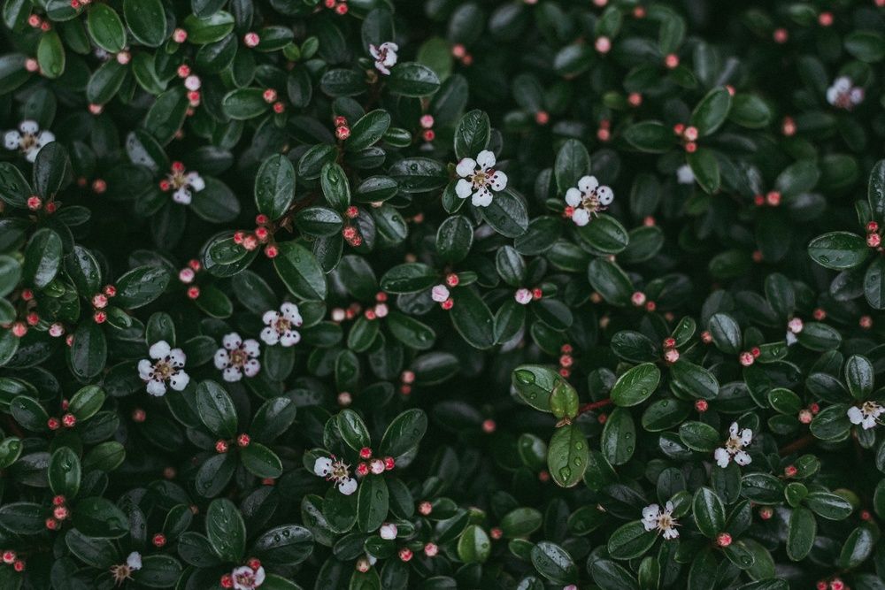 Photograph by Маргарита Поганова