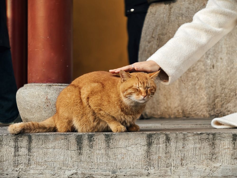 Photograph by 喻 子俊