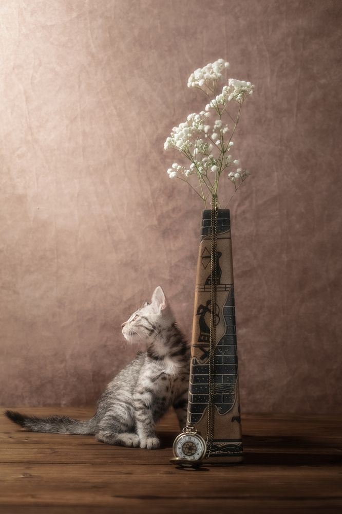 Photograph by 喻 子俊