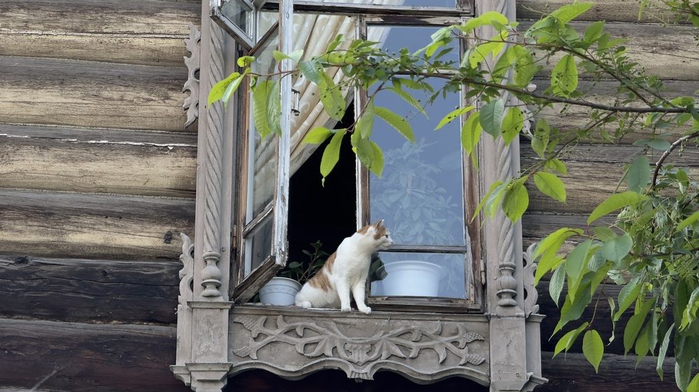 Photograph by Дмитрий Бобровский