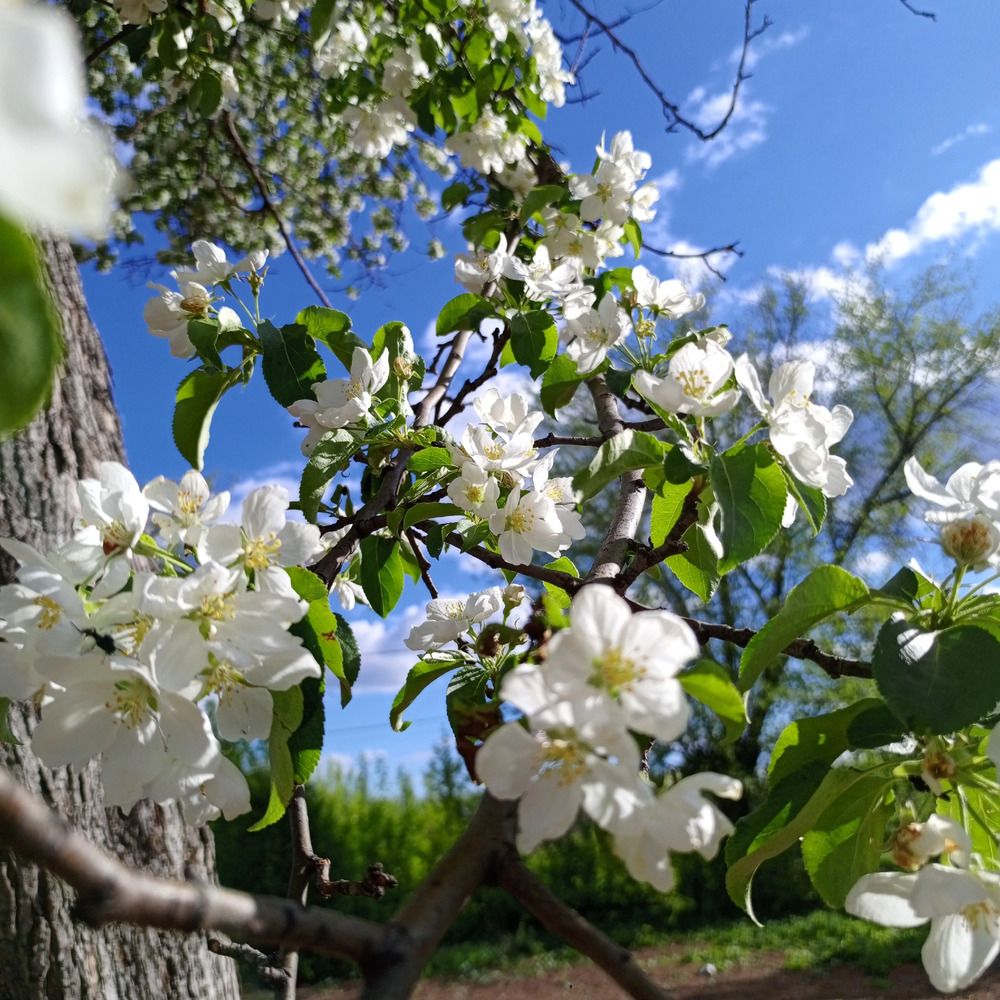 Photograph by Юлия Комякович