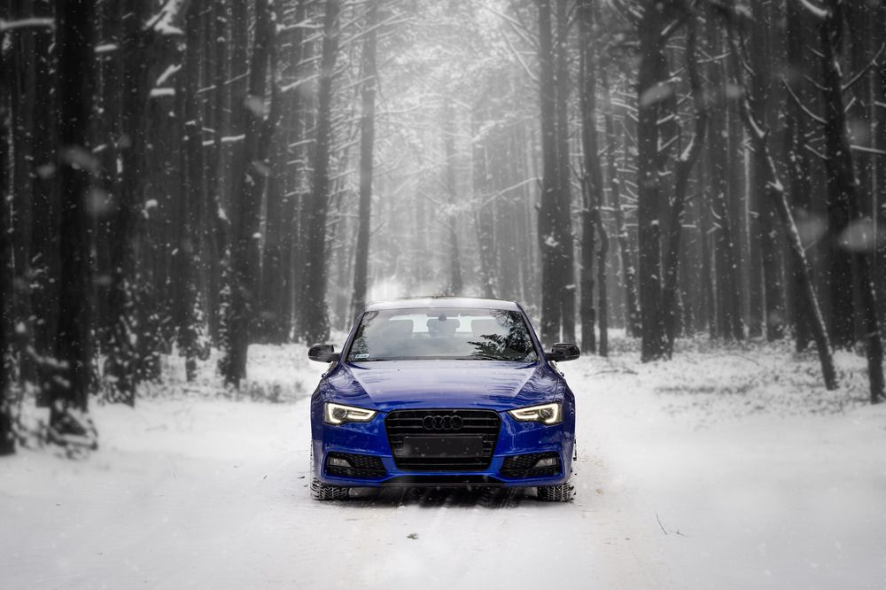 Photograph by Angelika Martko