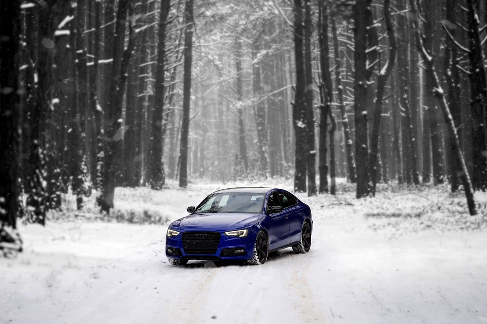 Photograph by Angelika Martko