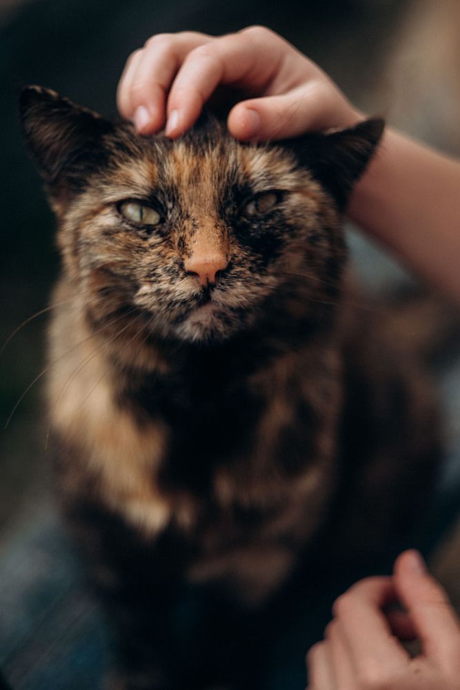 Photograph by Маргарита Поганова