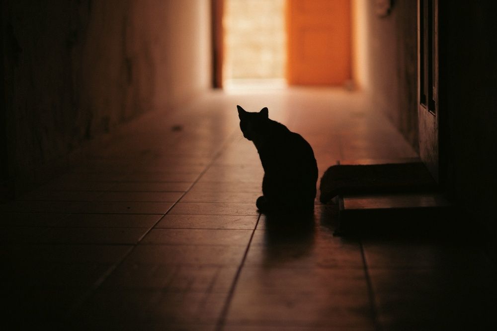 Photograph by Анна Чеснокова