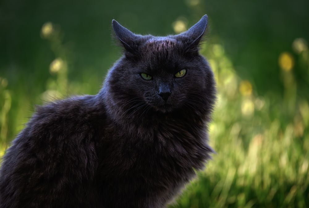 Photograph by Мария Ирешева