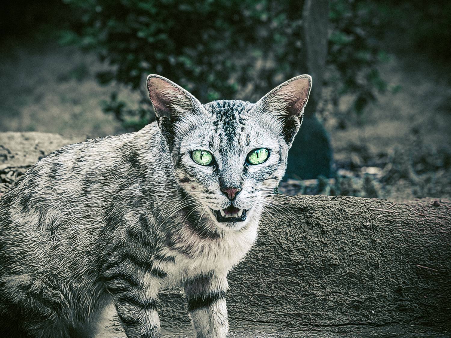 Photo #12246567