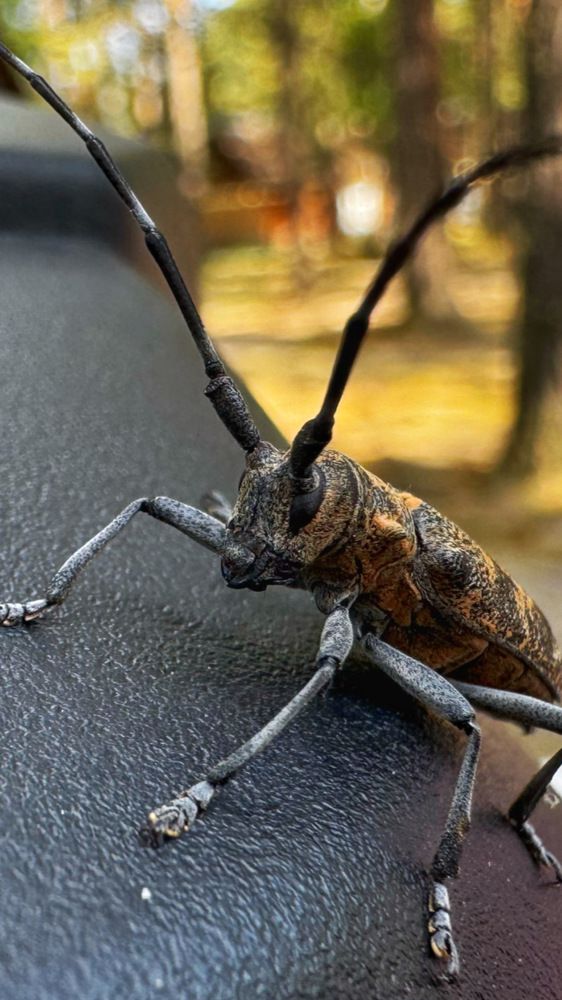 Photograph by Сергей Хранитель