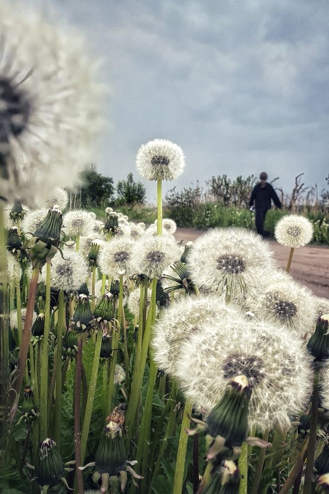 Photograph by Анна Зорька
