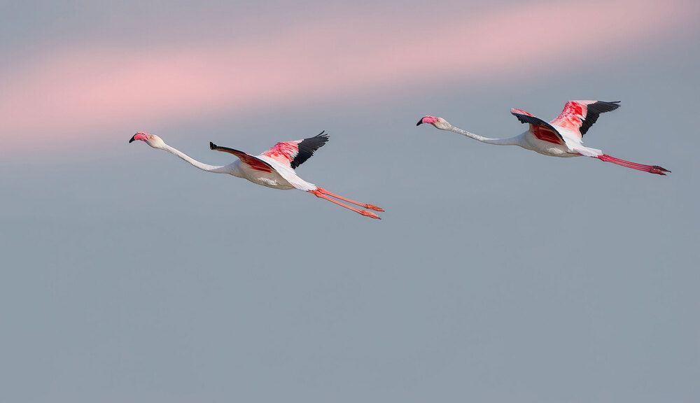 Photograph by Boris Bekelman