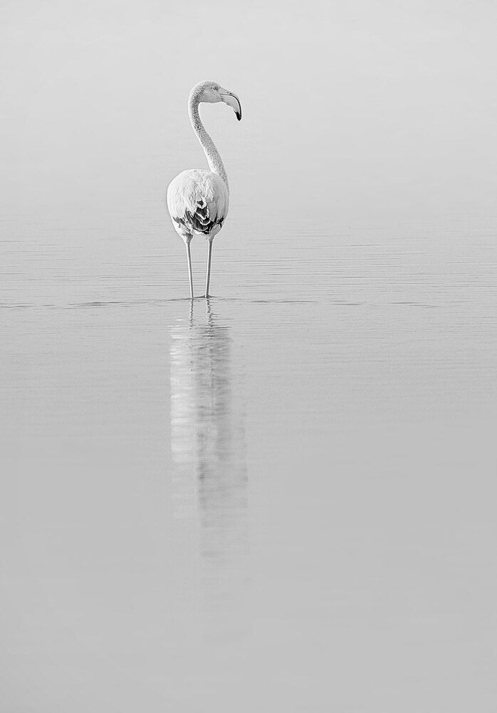 Photograph by Boris Bekelman