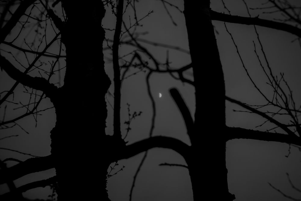 Photograph by Ivangelion [JS]