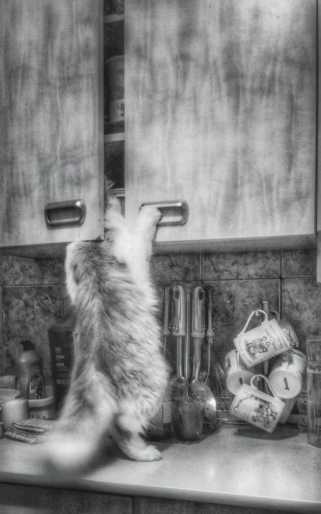 Photograph by Литвинова Галина