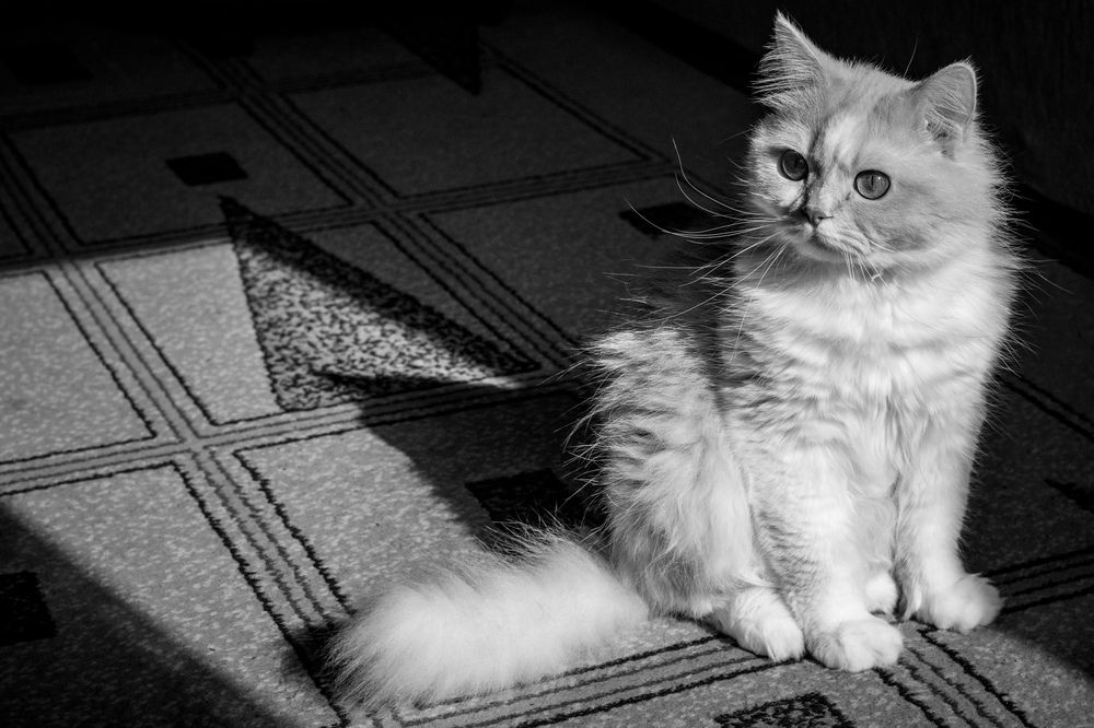 Photograph by Литвинова Галина