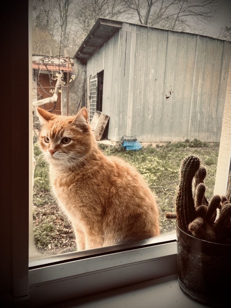 Photograph by Олеся Старицкая