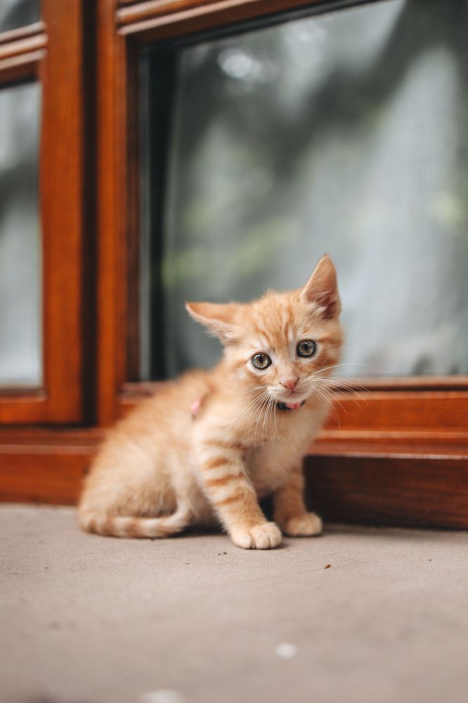 Photograph by Alma González