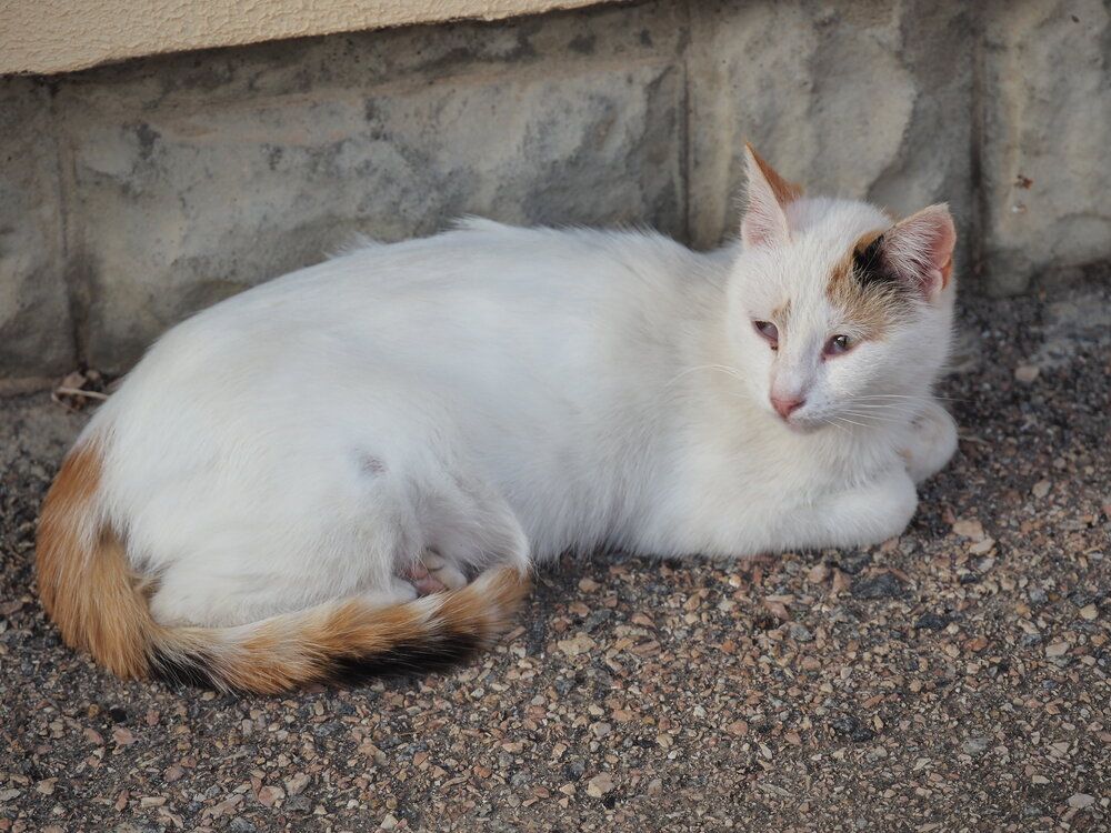 Photograph by Сергей Борисов