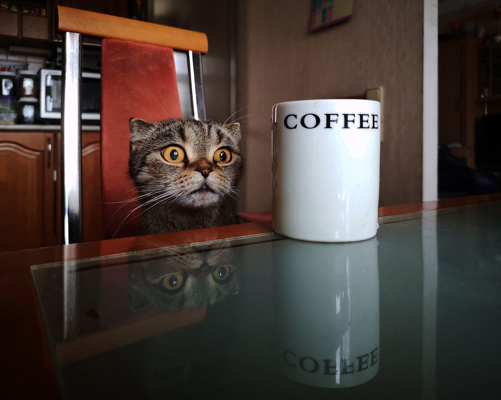 Утренний кофе ;)