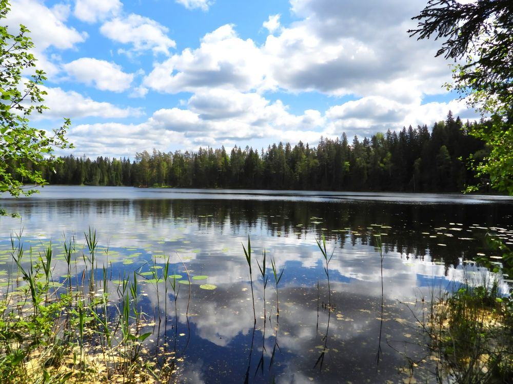 Photograph by Александр Шаварин