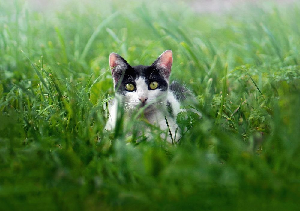 Фотография автора Е лена Е