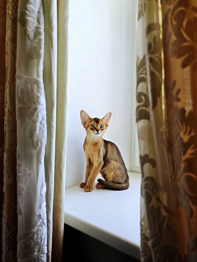 Фотография автора Natalya Firsova