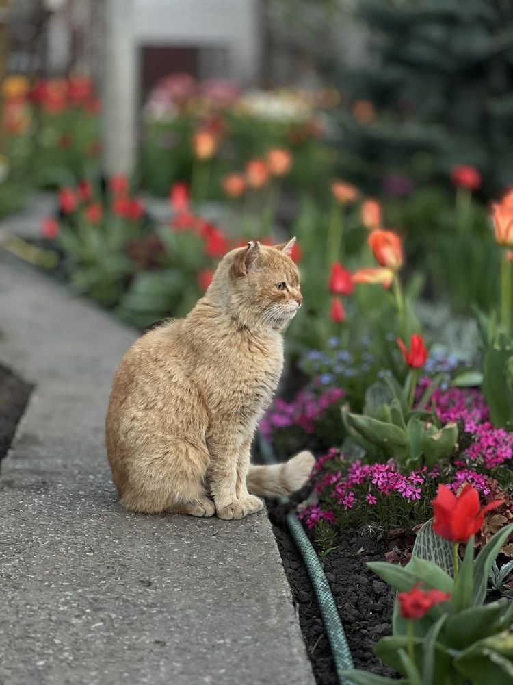 Photograph by Ольга Скиба