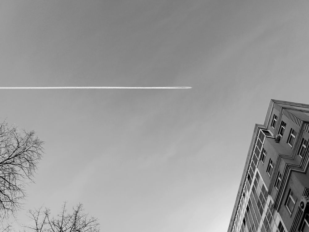 Photograph by Olga Kot