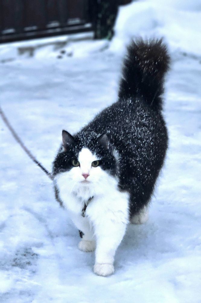 Photograph by Наталья Анисимова